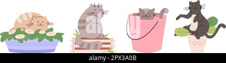 Süße Katzen in Pflanztöpfen und Eimern. Lustiger Katzenfuzzi und Zerstörer. Heimtiere, Haustiere schlafen in Vase und Holzkiste. Cartoon-Vektorzeichen Stock Vektor