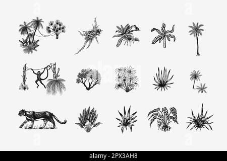 Wilde Tiger und exotische Pflanzen. Tukan-Vogel und -Affe. Banane und Agave und Sukkfulent. Tropische Bäume. Östliche Landschaft. Exotische Natur. Linearer Dschungel Stock Vektor