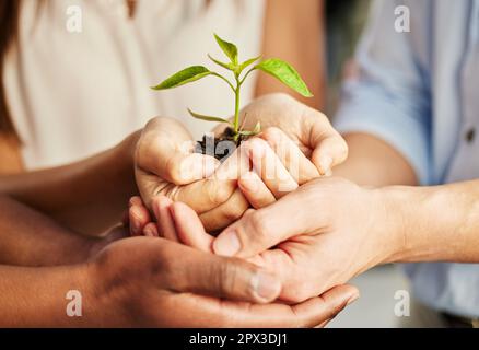 Unsere Ziele können nur durch einen Plan erreicht werden. Eine Gruppe von Leuten, die eine Pflanze halten Stockfoto