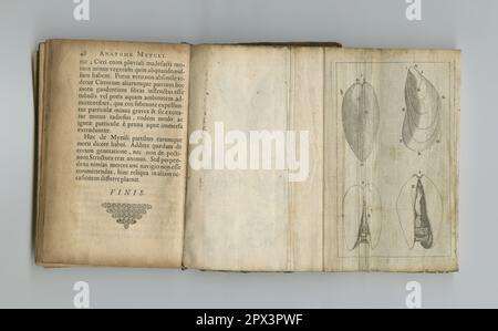 Ventage Medizinbuch. Ein altes Medizinbuch mit seinen Seiten. Stockfoto