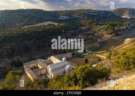 Abtei Senanque, Provence-Alpes-Cate d'Azur, Frankreich Stockfoto