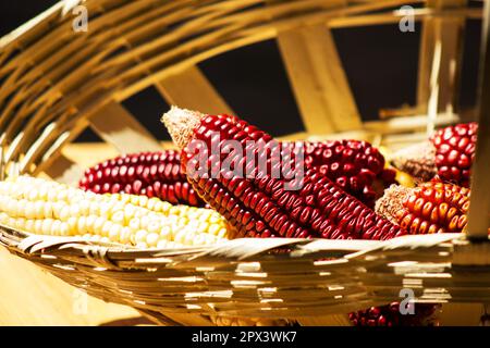 Ein Haufen Indianermais auf dem Kolben in einem Korb Stockfoto