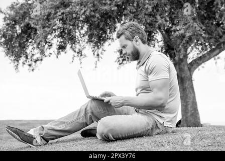 Konzentrierter Geschäftsmann mit Laptop zum Bloggen auf grünem Gras, arbeiten online Stockfoto