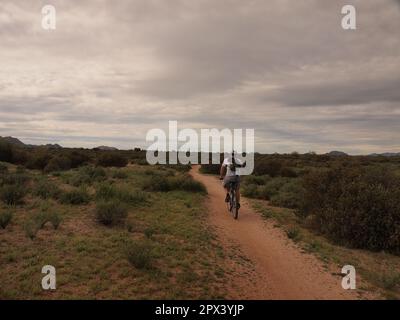 Radfahrer und Wanderer im McDowell Mountain Regional Park vor Fountain Hills, Arizona. Es stehen zahlreiche Wanderwege zur Verfügung. Stockfoto