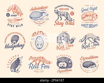 Red Fox und Igel Abzeichen Set. Waldginger Wildtier Etikett oder Logo. Vektor graviert Hand gezeichnet Vintage alte Skizze für Stempel, T-Shirt oder Stock Vektor