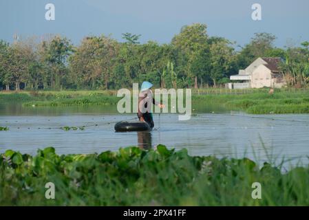 Kendal, Indonesien - 02. Mai 2023: Fischer fangen Fische im See, indem sie Fischernetze in Beautiful verwenden Stockfoto