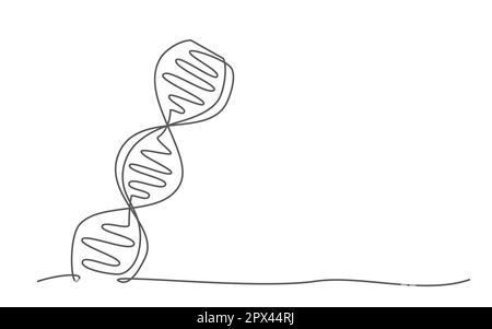 DNA eine Linie auf weißem Hintergrund Stock Vektor