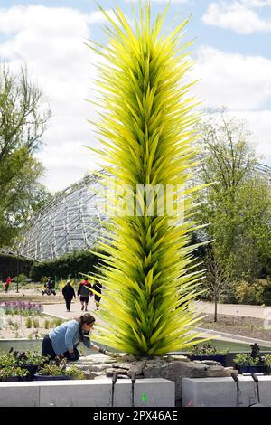 St. Louis, Usa. 01. Mai 2023. Der Chihuly VIVID Lime Icicle Tower am Eingang zu den Missouri Botanical Gardens in St. wurde von einem Arbeiter mit dem letzten Schliff versehen Louis am Montag, den 1. Mai 2023. Vom 2. Mai 2023 bis zum 15. Oktober 2023 werden im Botanischen Garten die geblasenen Glasformen des Künstlers Dale Chihuly ausgestellt. Foto: Bill Greenblatt/UPI Credit: UPI/Alamy Live News Stockfoto