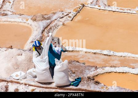 Maras, Peru - 19. 2018. Oktober: Zwei Männer sammeln gefiltertes Salz aus der Salinera, um es später zu verkaufen Stockfoto