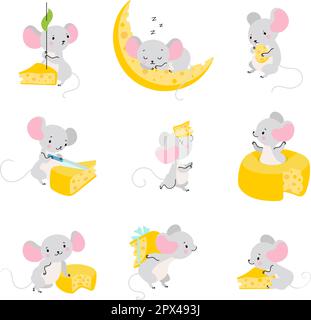 Maus und Käse. Süße Mäuse essen, lustige Ratten gruppieren Zeichentrickfiguren. Die Ratte schläft, spielt und hat verschiedene Aktivitäten. Heute ist es ein Vektortier Stock Vektor