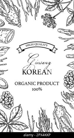 Vertikales Ginseng-Design. Handgezeichnete botanische Vektordarstellung im Skizzenstil. Kann für Verpackung, Etikett, Ausweis verwendet werden. Pflanzliche Medizin im Hintergrund Stock Vektor