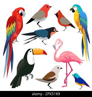Kollektion des Vektors des farbigen Vogels Stock Vektor