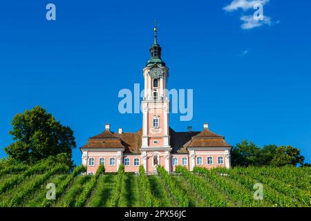 Zisterzienserkloster BirNau am Bodensee barocke Wallfahrtskirche Religion in Deutschland Stockfoto