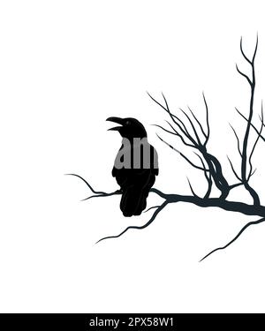 Schwarze Krähe auf Brunch. Silhouette des Rabens Stock Vektor