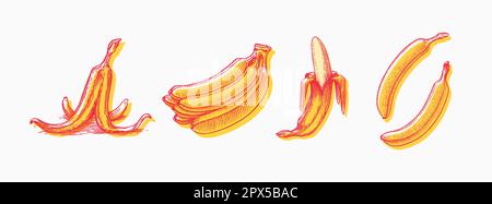 Bananenobst und Palmenblätter. Handgemalt mit Tinte im Vintage-Stil. Lineares Grafikdesign. Detaillierte vegetarische Speisen. Vektordarstellung für Beschriftung Stock Vektor
