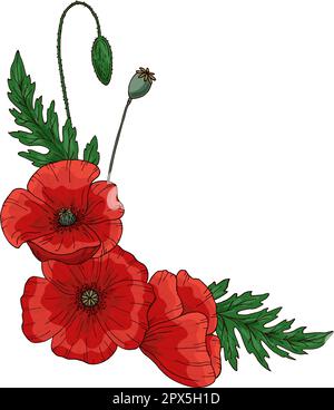 Sommerrahmen mit roter Mohnblume. Papaver. Grüne Stiele und Blätter. Set von Elementen für die Konstruktion. Handgezeichneter Vektor. Isoliert auf weißem Hintergrund. Stock Vektor