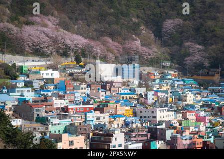 Landschaft des Kulturdorfes Gamcheon Stockfoto
