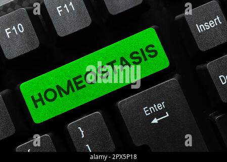 Text zeigt Inspirationshomöostase, Geschäftsansatz die Tendenz zu einem Gleichgewicht zwischen voneinander abhängigen Elementen Stockfoto