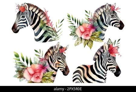 Aquarellfarben Darstellung eines süßen Zebras, isoliert auf weißem Hintergrund Stock Vektor