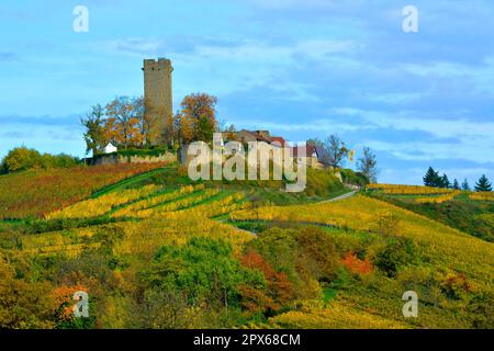 BW. In der Nähe der farbenfrohen Weinberge von Sulzfeld im Herbst, Schloss: Ravensburg, Kraichgau Stockfoto