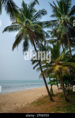 Wunderschöner Sandstrand und Meerblick mit Kokospalmen. Stockfoto