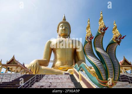 The Wat Muang in the Village of Wiset Chai Chan in the Province of Ang Thong in Thailand, Thailand, Ang Thong, November 2022 Stockfoto