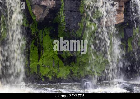 Fortenn Falls Thika, Athi River, Wasserfall, Wasser, Fluss, Kenia Stockfoto