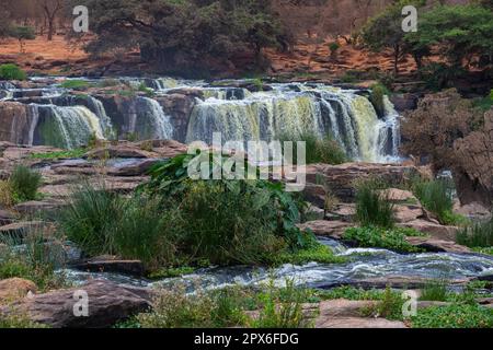 Fortenn Falls Thika, Athi River, Wasserfall, Wasser, Fluss, Kenia Stockfoto