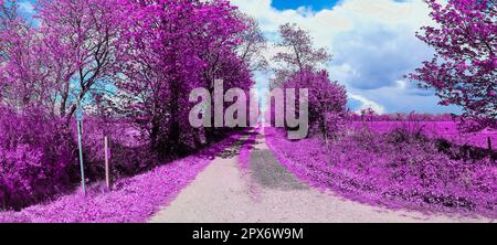 Farbenfrohe Fantasy-Landschaft in einem asiatischen violetten Infrarot-Fotostil Stockfoto