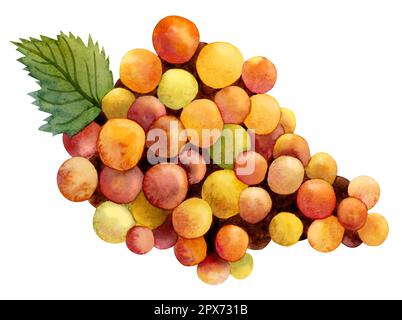 Aquarell farbenfrohe rote gelbe orangefarbene Traube mit grünem Blatt, isoliert auf Weiß. Sommerherbstsonnige Beeren Stockfoto