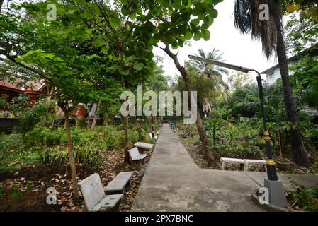 Der Garten der Haroon-Moschee in Bang Rak, Bangkok, Thailand. Stockfoto