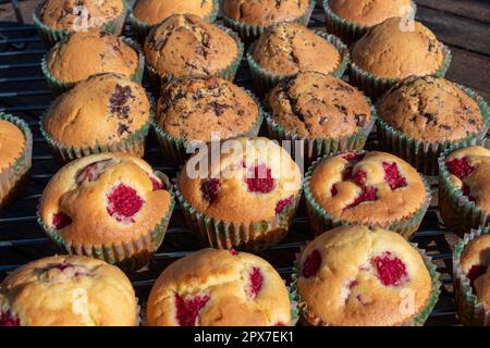 Nahaufnahme von hausgemachten Cranberry- und Schokoladenmuffins Stockfoto