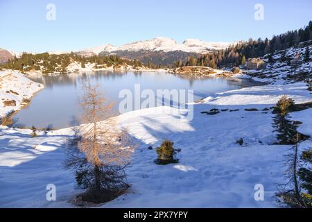 Colbricon Seen Winter View, San martino di Castrozza, Italien. Berglandschaft Stockfoto
