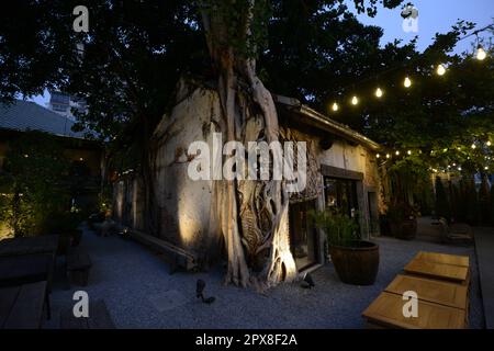 Das Hong Sieng Kong Restaurant und Bar in Bangkok, Thailand. Stockfoto