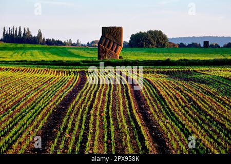 Skulpturenstraße bei Baltersweiler, Saarland, Deutschland Stockfoto