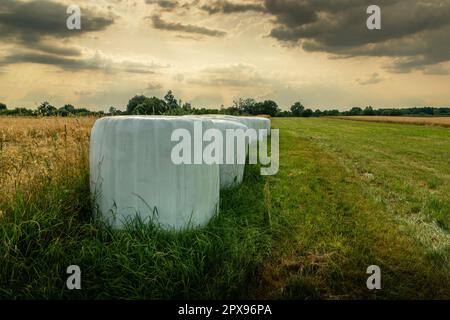 Vereitelte Heuballen in einem Feld und bewölktem Himmel, Sommer ländliche Aussicht Stockfoto