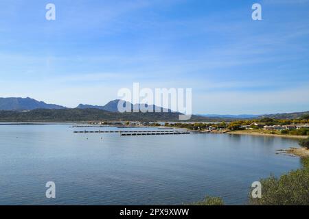 Blick auf die Marina Cala dei Sardi Golf von Cugnana (Golfo di Cugnana) Sardinien Stockfoto