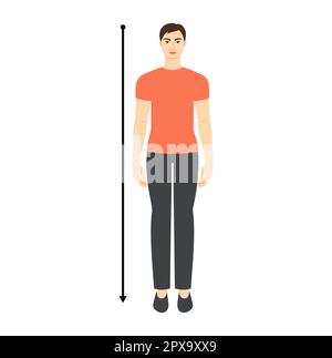 Männer messen Körpergröße mit Pfeilen Fashion Illustration für Größentabelle. Flache männliche Figur vorne 8-köpfiger Junge in rotem Kleid. Infografik-Vorlage für Kleidung für Herren Stock Vektor