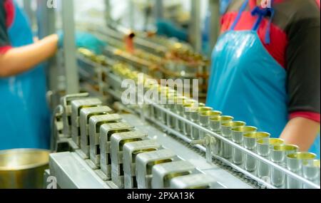 Fischkonserven Fabrik. Lebensmittelindustrie. Sardinen in roter Tomatensauce in Dosen auf dem Förderband in der Lebensmittelfabrik. Verwischen Sie Mitarbeiter, die in Lebensmittelverfahren arbeiten Stockfoto
