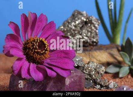 Chakra-Steine und violette Blumen mit australischem rotem Sand auf Meditationstisch Stockfoto