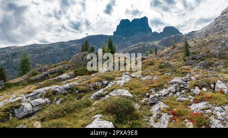 Wunderschöne Aussicht auf die italienischen Dolomiten in der Nähe des Cinque Torri Stockfoto