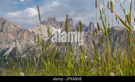 Wunderschöne Aussicht auf die italienischen Dolomiten in der Nähe des Cinque Torri Stockfoto