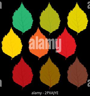 Herbstblätter in verschiedenen Farben Stockfoto
