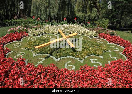 Romantische Blumenuhr in der bomehianischen Stadt Podebrady Stockfoto