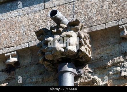 Wasserspeier an der Kirche St. Botolph Barton Seagrave, Northamptonshire, England, Vereinigtes Königreich Stockfoto