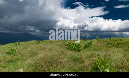 Bewölkter Himmel über grünen Wiesen in den Trentino-Bergen Norditaliens Stockfoto