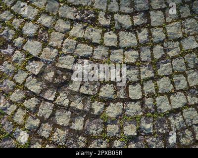 Gepflegte alte Pflastersteine. Bürgersteig auf dem Platz der Altstadt. Quadratische und rechteckige Steine auf dem Boden, mit Moos und Flechten bedeckt. Stockfoto