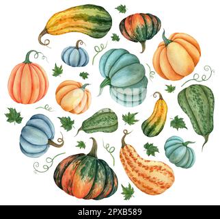 Aquarelletikett in Form eines Gemüsekreises mit dem Bild von Kürbissen für die Gestaltung von Schildern, Logo der Agrarwirtschaft, Banner mit Bio-Lebensmitteln Stockfoto