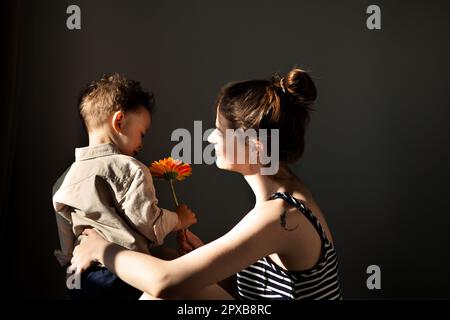 Echter Moment stilvoller Kindersohn schenkt der Mutter Gerbera-Blume für einen glücklichen Muttertag vor dunkler Wand. Mom liebt Baby. Authentisches Heimleben, hartes Licht Stockfoto