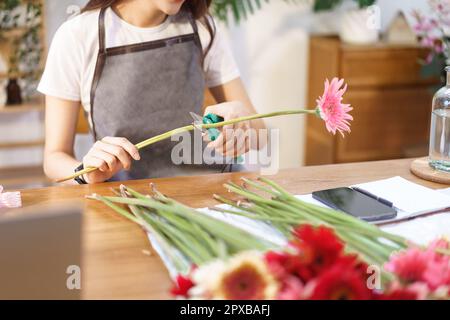 Blumengeschäft Konzept, weibliche Floristin Schneiden Gerbera mit Schere für die Herstellung Blumenvase vorzubereiten. Stockfoto
